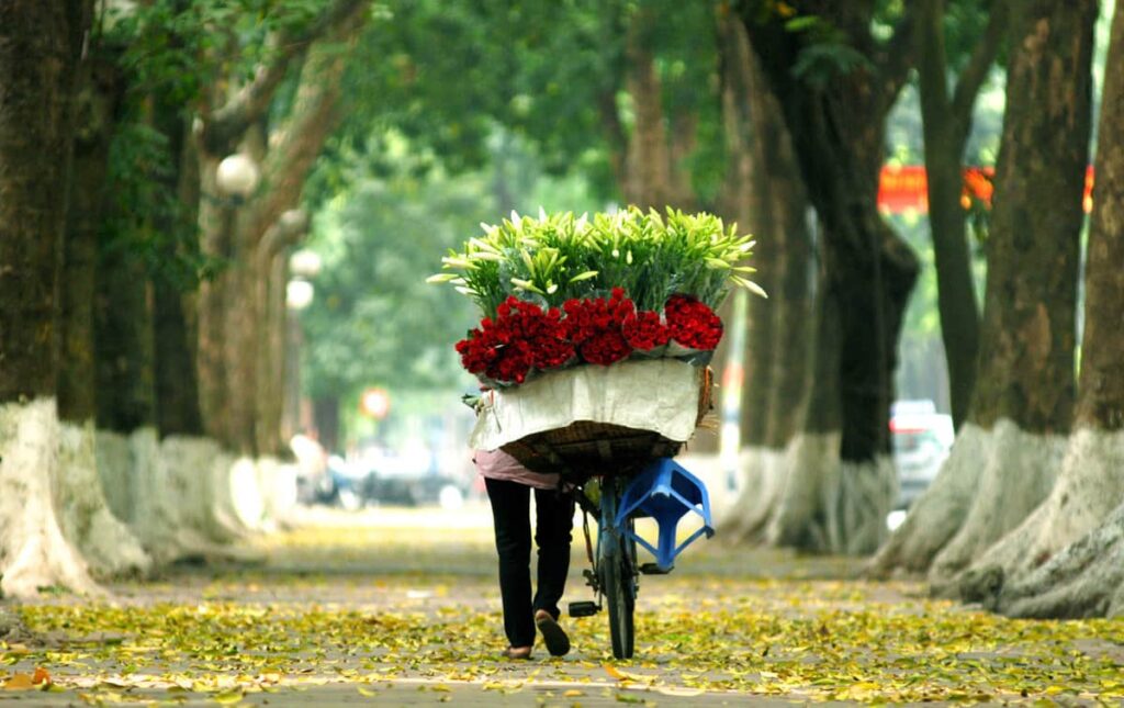 Herbst in Hanoi, eine milde und angenehme Jahreszeit für einen Besuch der Stadt