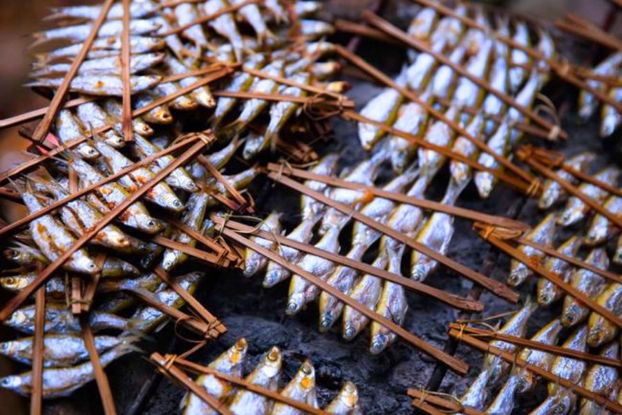 Gegrillter Fisch