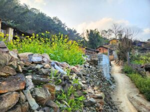 Altes Dorf Thien Huong: Authentischer Ausflug nach Dong Van