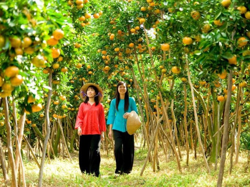 Tropische Früchte aus den Obstgärten des Mekong-Deltas