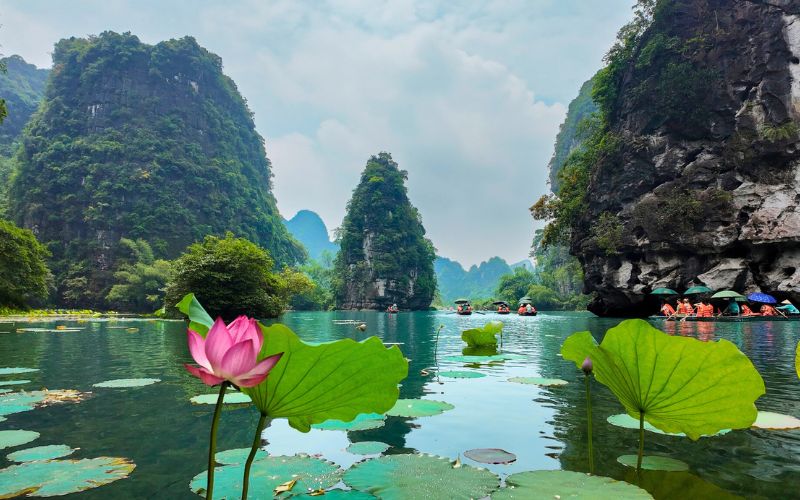 Boot und Lotusblüten in der Karstlandschaft von Ninh Binh