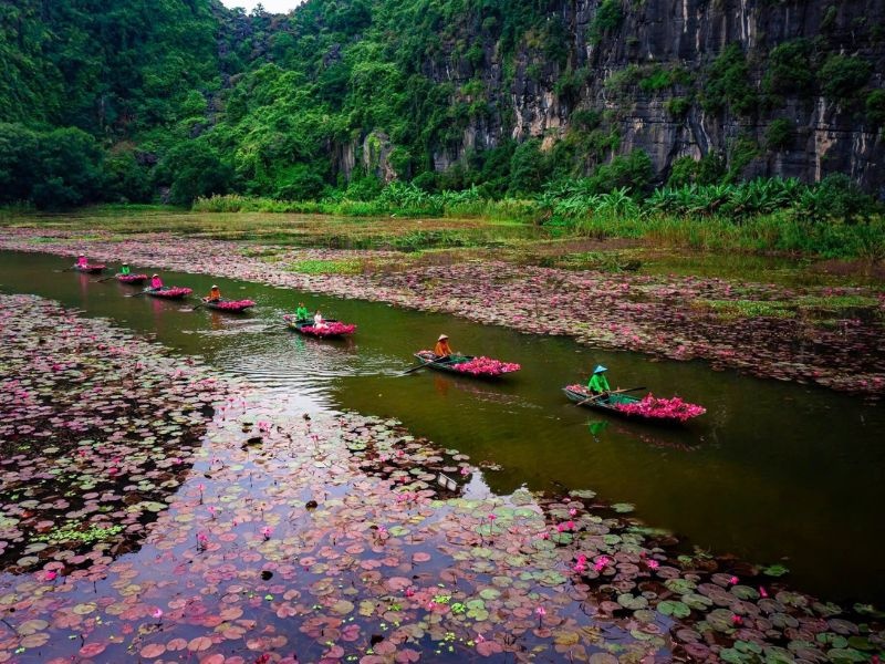 Bootsfahrt zwischen Seerosen und Karstbergen in Ninh Binh