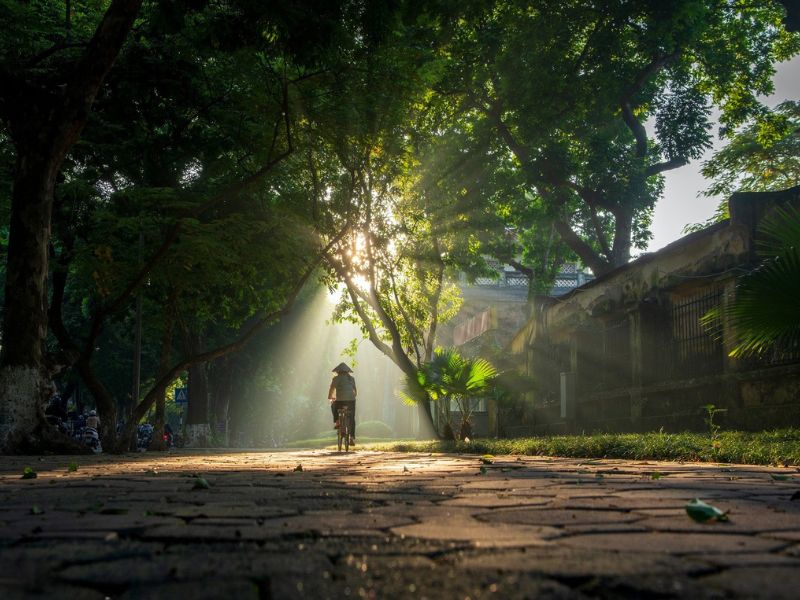 Sonnenstrahlen in einer herbstlichen Straße in Hanoi